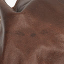 Loewe Brown Aire Nappa Anagram Shoulder Bag