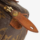 Louis Vuitton Nano Speedy Monogram Canvas Mini Bag