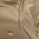 Loewe Amazona 28 Metallic Calfskin Handbag