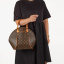 Louis Vuitton Ellipse MM Monogram Canvas Bag
