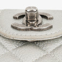 Chanel Silver Metallic Grained Calfskin Casual Rock Waist Bag