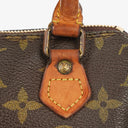 Louis Vuitton Nano Speedy Monogram Canvas Mini Bag