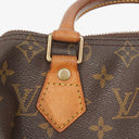 Louis Vuitton Speedy 25 Monogram Canvas Bag