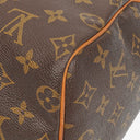 Louis Vuitton Speedy 25 Monogram Canvas Bag