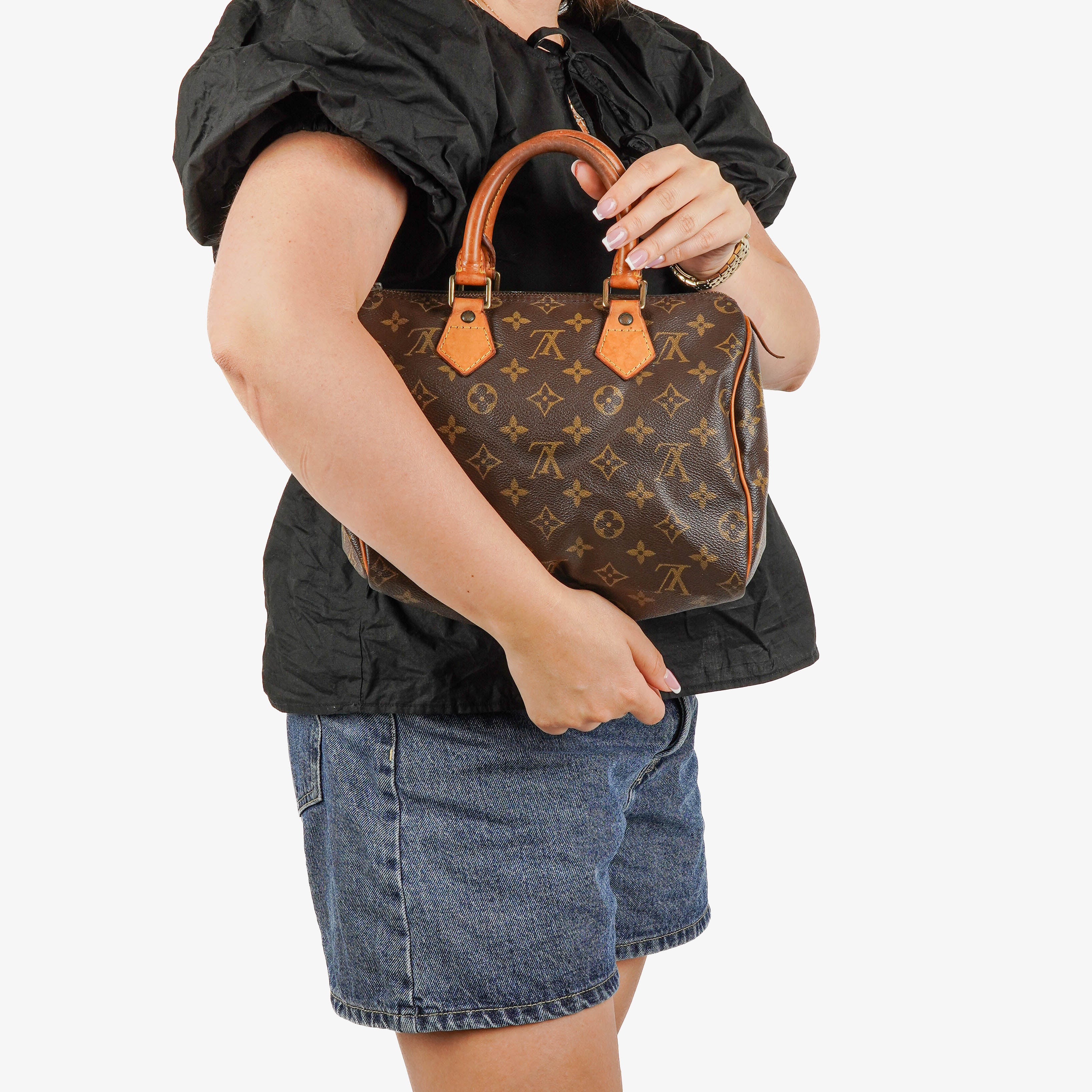 Louis Vuitton Speedy 25 Monogram Canvas Bag
