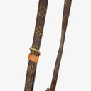 Louis Vuitton Monogram Canvas Amazon Crossbody Bag