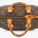 Louis Vuitton Speedy 25 Monogram Canvas Bag