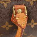 Louis Vuitton Nano Speedy Monogram Canvas Mini Bag