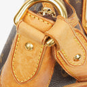 Louis Vuitton Thames Monogram Shouder Bag