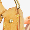 Louis Vuitton Thames Monogram Shouder Bag