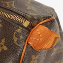 Louis Vuitton Speedy 25 Monogram Canvas Bag