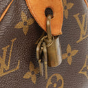 Louis Vuitton Speedy 25 Monogram Canvas Bag