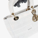 Christian Dior Medium Lady D-Lite Cannage Embroidered Bag