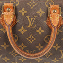 Louis Vuitton Speedy 25 Monogram Canvas Bag