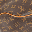 Louis Vuitton Delightful MM Monogram Canvas Bag