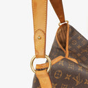 Louis Vuitton Delightful MM Monogram Canvas Bag