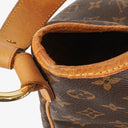 Louis Vuitton Delightful MM Monogram Canvas Bag