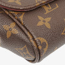 Louis Vuitton Monogram Canvas Favorite MM Bag