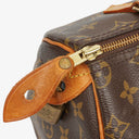 Louis Vuitton Speedy 25 Monogram Canvas Bag