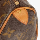 Louis Vuitton Nano Speedy Monogram Canvas Mini Bag
