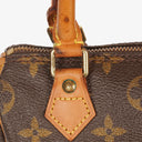 Louis Vuitton Nano Speedy Monogram Canvas Mini Bag