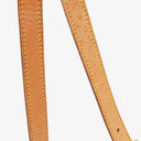 Louis Vuitton Tambourin Monogram Canvas Bag