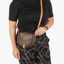 Louis Vuitton Tambourin Monogram Canvas Bag