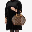 Louis Vuitton Ellipse MM Monogram Canvas Bag