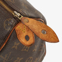 Louis Vuitton Speedy 25 Monogram Canvas Bag