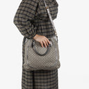 Louis Vuitton Besace Angele Platine Mini Lin Monogram Shoulder Bag