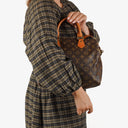 Louis Vuitton Speedy 30 Monogram Canvas Handbag