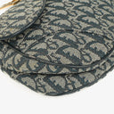 Christian Dior Medium Saddle Bag