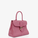 Delvaux Brillant MM Flamingo Sellier Handbag