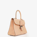 Delvaux Brillant MM Handbag