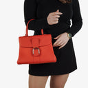 Delvaux Brillant MM Sunset Sellier Handbag