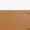 Delvaux Brillant MM Vison Box Calf Handbag