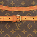 Louis Vuitton Blois Monogram Canvas Shouder Bag