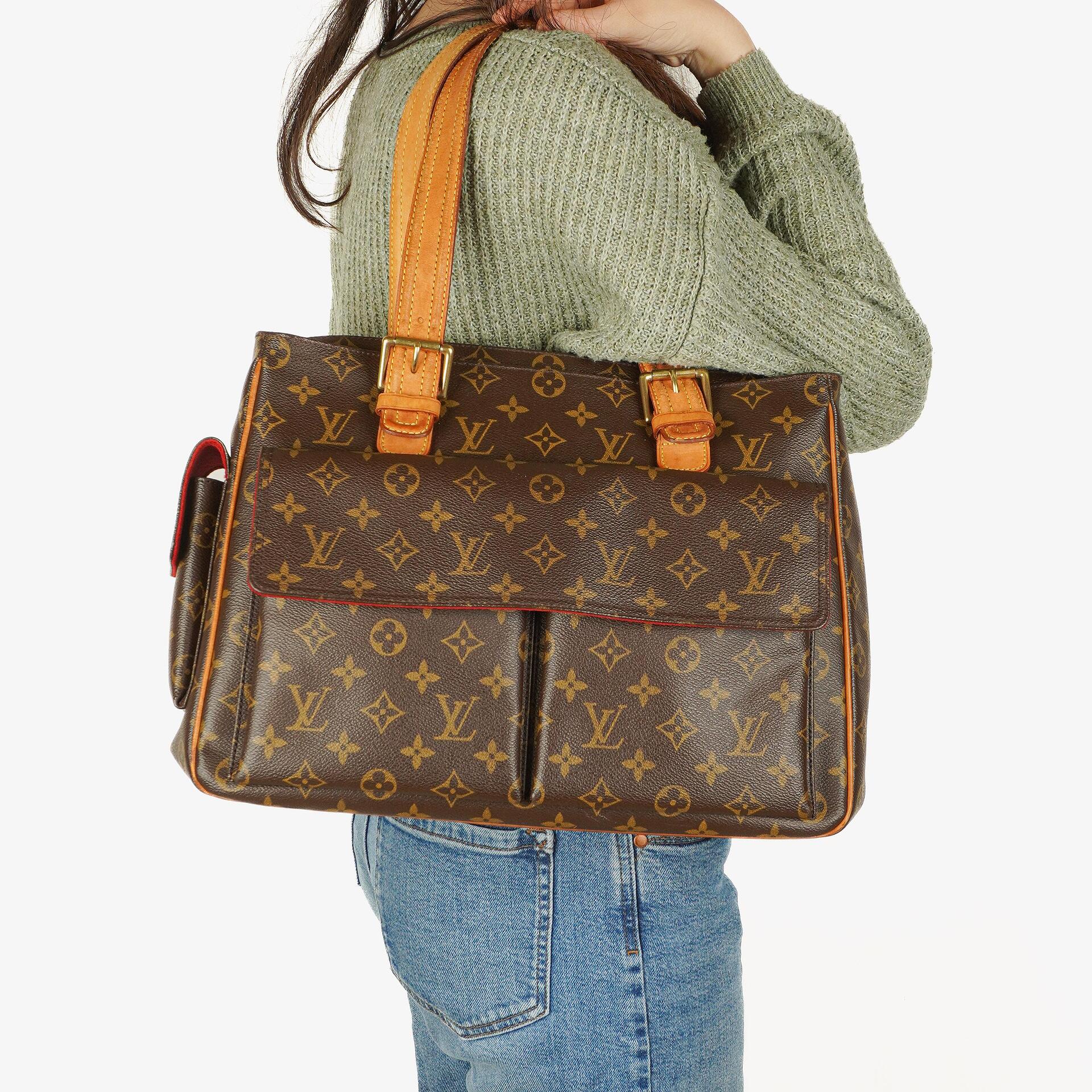 Louis Vuitton Monogram Canvas Multiple Cite Bag
