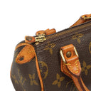 Louis Vuitton Nano Speedy Monogram Canvas Mini Bag