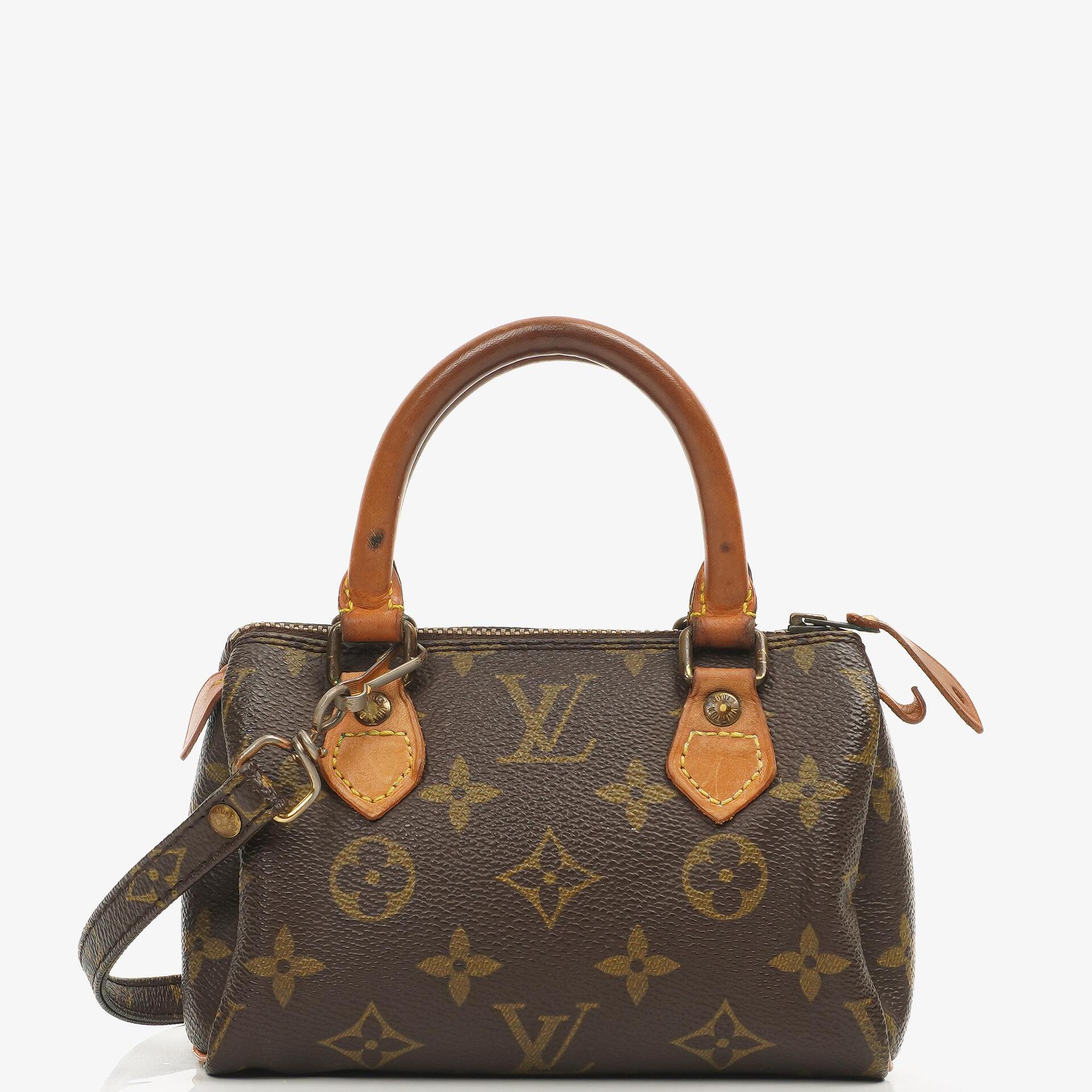 Louis Vuitton Nano Speedy Monogram Canvas Mini Bag