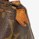 Louis Vuitton Nano Speedy Monogram Canvas Mini Bag