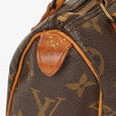 Louis Vuitton Nano Speedy Monogram Canvas Mini Bag