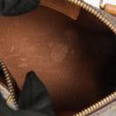 Louis Vuitton Nano Speedy Monogram Canvas Mini Bag