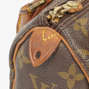 Louis Vuitton Nano Speedy Monogram Canvas Mini Bag