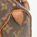 Louis Vuitton Nano Speedy Monogram Canvas Mini Bag