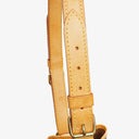 Louis Vuitton Noe GM Monogram Canvas Shoulder Bag