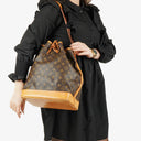 Louis Vuitton Noe GM Monogram Canvas Shoulder Bag