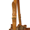 Louis Vuitton Noé Grande GM Damier Azur Canvas Shoulder Bag