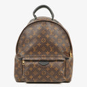 Louis Vuitton Palm Springs MM Monogram Backpack