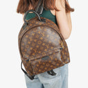 Louis Vuitton Palm Springs MM Monogram Backpack